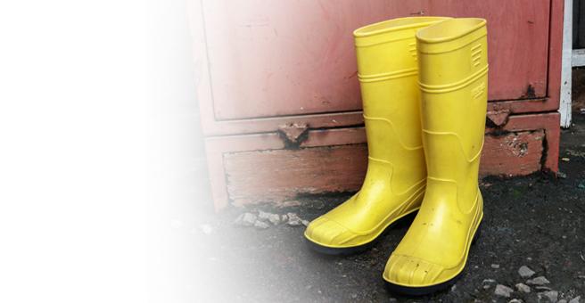 Why Safety Shoes Are a Must-Have in Hazardous Work Environments