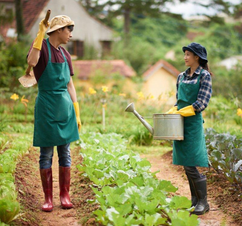 Agriculture & Food Processing